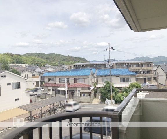 シャンポール蘭のその他写真