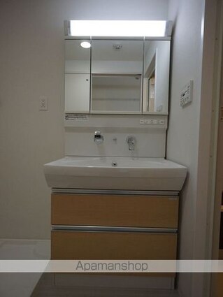 カルマート[1K/28.19m2]の洗面所