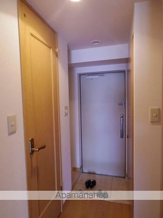サンティール三鷹サウスウイング[1DK/31.35m2]の玄関
