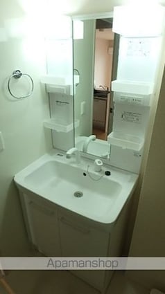 ロイヤルビュー[1LDK/33.39m2]の洗面所