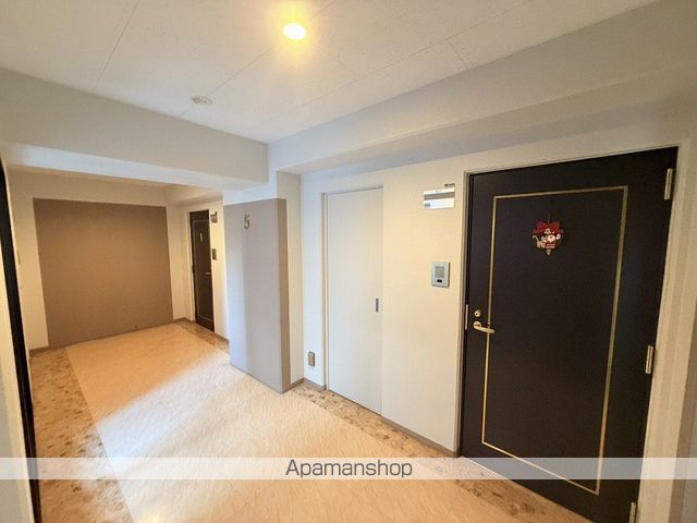 ノヴァ大通のその他写真