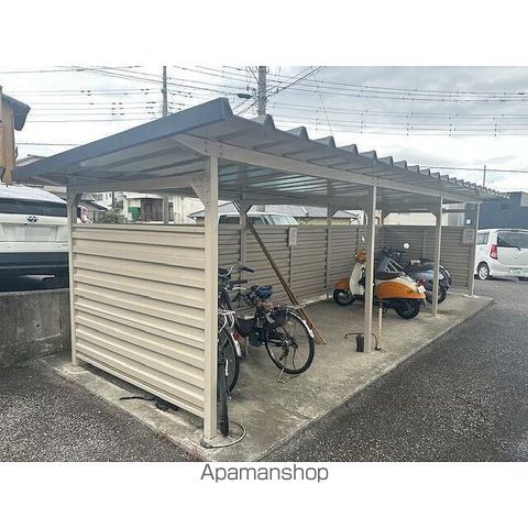 セントポーリアのその他写真