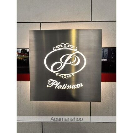 プラチナム[1K/30.63m2]のその他設備2