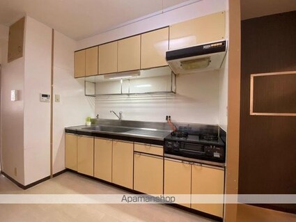 岩藤マンション[3DK/54.15m2]のキッチン