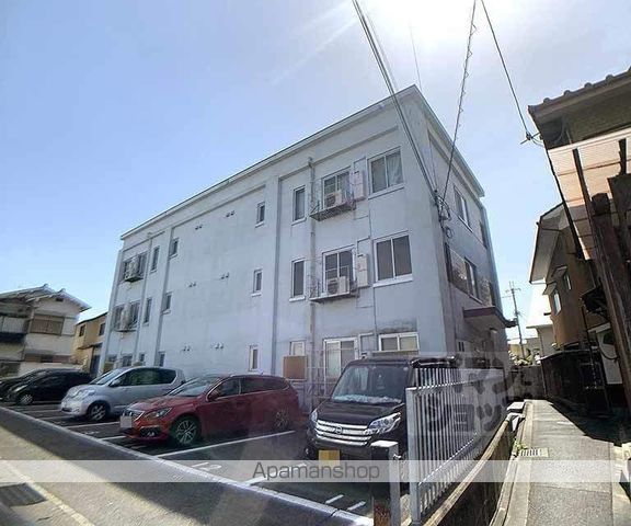 洛北松柏