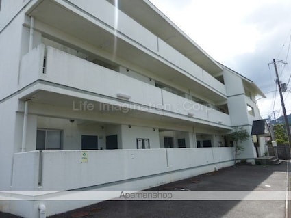 コットンハウス[1LDK/37.31m2]の駐車場