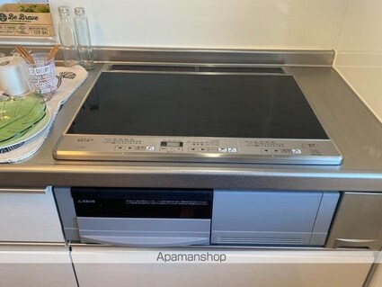 ラ・ルミエール[1LDK/43.09m2]の内装4