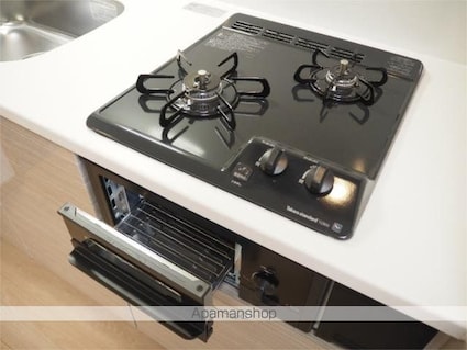 東京都墨田区立花３丁目[2DK/41.44m2]の内装6