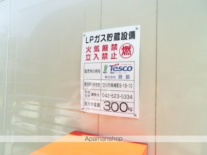 アネックスＹⅦ[1LDK/42.33m2]の共用部6