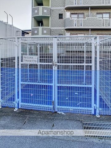 エバーグリーンのその他写真