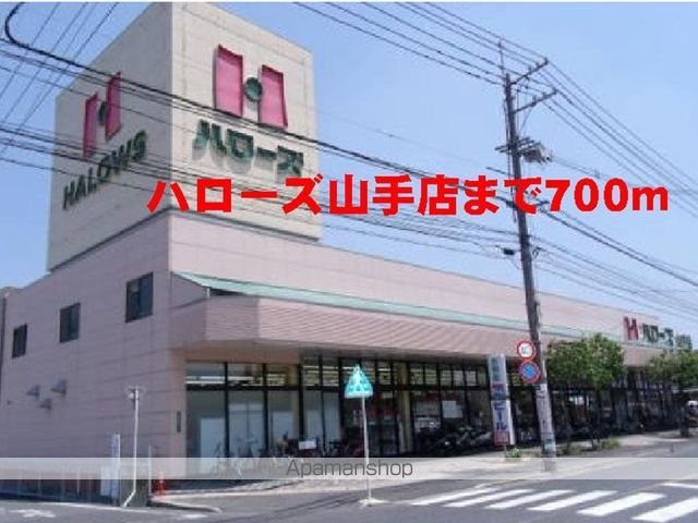 スザンヌ ラングランDの周辺写真