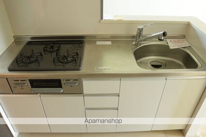 アグリウムⅡ[2LDK/56.68m2]のキッチン