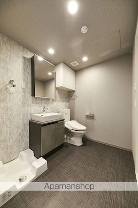 ザ・ライオンズフォーシア八丁堀[1DK/25.49m2]の洗面所