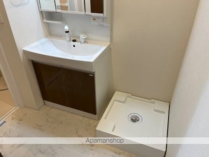 滋賀県草津市矢倉１丁目[1LDK/42.98m2]の洗面所