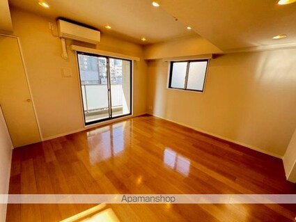 カスタリア銀座Ⅱ[1LDK/45.86m2]のリビング・居間