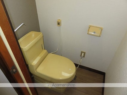 サンハイツ未希[2K/39.74m2]のトイレ