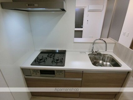 セレスティア柴又ＩＩＩ[2LDK/41.78m2]のキッチン