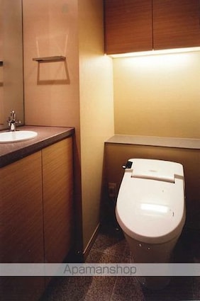 チェスターコート御茶ノ水[1K/26.7m2]のトイレ