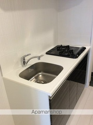 メインステージ菊川Ⅱ[1K/25.81m2]のキッチン