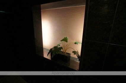 パークフラッツ市谷台町坂（旧アクシルコート市谷台町坂）[1LDK/45.88m2]の共用部6