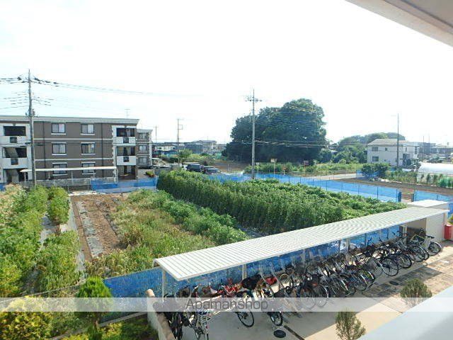 マーサ IIのその他写真