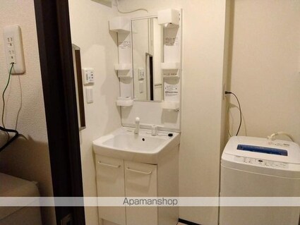 レオネクストアルファ[1K/31.69m2]の洗面所