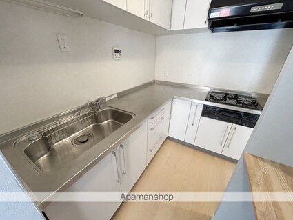 ライオンズマンション狭山[1LDK/63.25m2]のキッチン