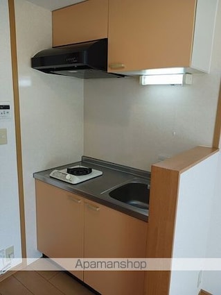 ヴァンテ　コリーヌ南流山[1R/24.39m2]のキッチン