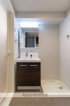 ＤＩＰＳ練馬春日町[1K/25.72m2]の洗面所