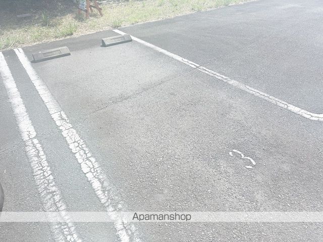 SURPLUS女神のその他写真