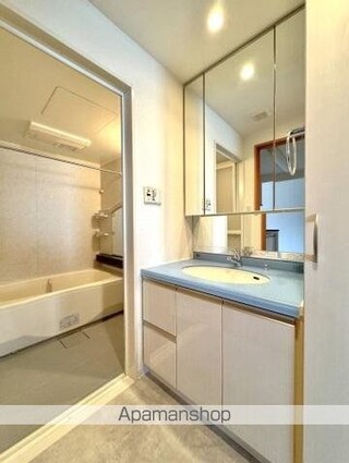 アルファライフ玉藻公園[2LDK/56.91m2]の洗面所