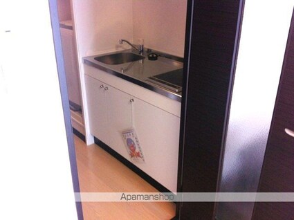 レオネクストルーチェ[1K/20.95m2]のキッチン2