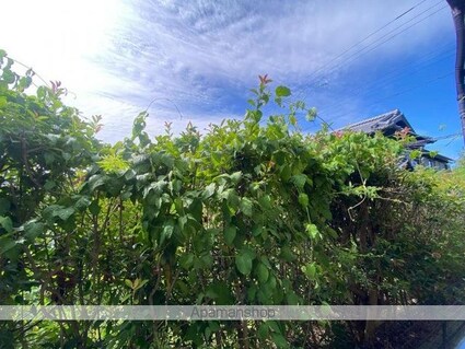 リヴァー・ウィルダーネスＡ[2DK/46.13m2]の内装5