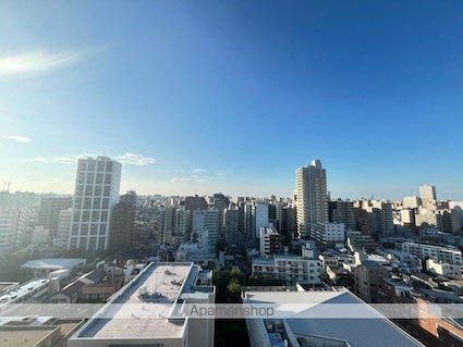 レジディアタワー上池袋（タワー棟）[1LDK/37.89m2]の眺望