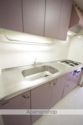 ラフィーネ阿佐谷[1LDK/48.4m2]のキッチン