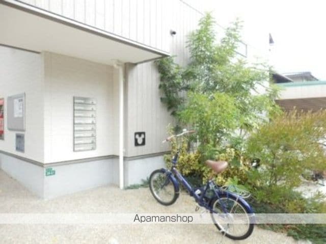 ANGELICAのその他写真