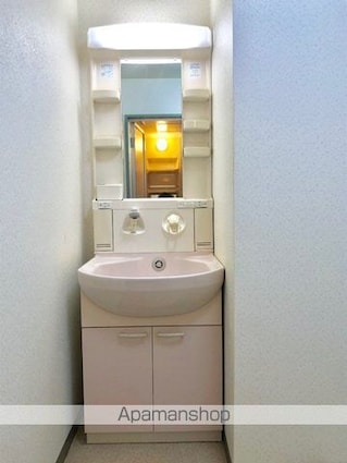 パディ・アイ・マンション[2LDK/50.85m2]の洗面所