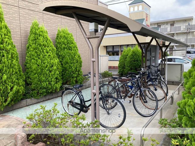 カメリアのその他写真