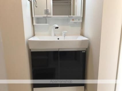 Ｓｔａｒ　Ｄｕｓｔ　Ｈｉｌｌｓ[1LDK/39.76m2]の洗面所