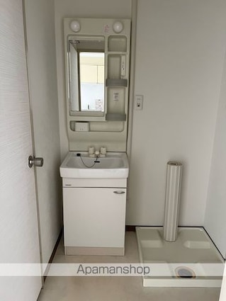 パソナⅤ・Ⅵ[2LDK/51.3m2]の洗面所