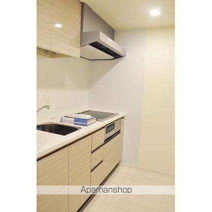 パークアクシス豊洲キャナル[1LDK/46.25m2]のキッチン