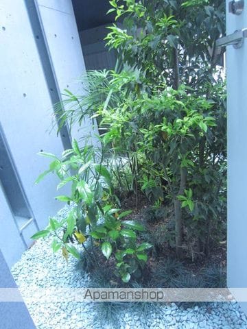 LAPIS本郷の内装写真
