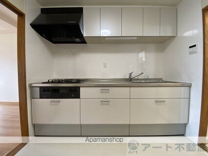 フェニックス山越[3LDK/71.5m2]のキッチン