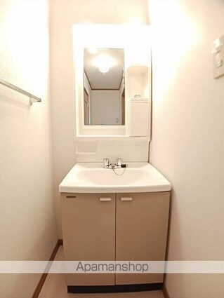 広島県府中市用土町[2LDK/58.53m2]の洗面所