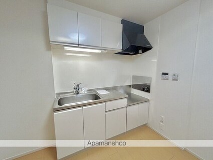 プラシード沖野[2LDK/54.38m2]のキッチン