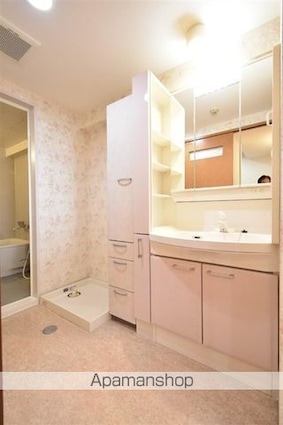 ライオンズマンション新都心[3LDK/68.13m2]の洗面所