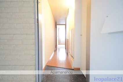 レオパレスワイズ[1K/19.87m2]の玄関