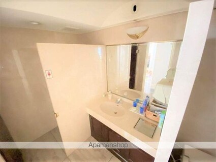 ロイヤルシティ弐番館青柳[1LDK/211m2]の洗面所