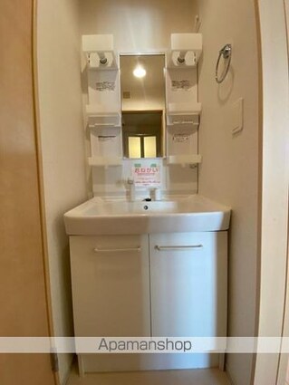 フランⅡ[1LDK/46.06m2]の洗面所