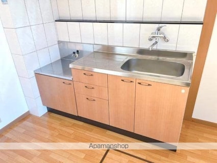 エクセルハイムＡ[1LDK/44.62m2]のキッチン2